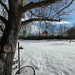 Valyog Kucko * Somogyszentpal