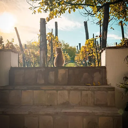 Valyog Kucko Semesterbostad Somogyszentpal