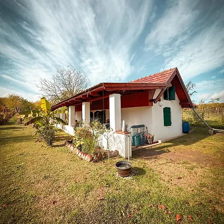 Valyog Kucko * Somogyszentpal