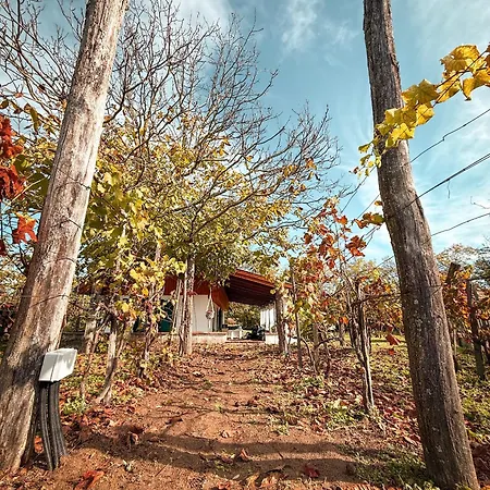 Valyog Kucko * Somogyszentpal