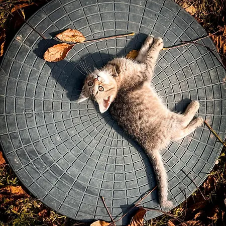 Дом отдыха Valyog Kucko