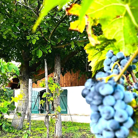 Semesterbostad Valyog Kucko Somogyszentpal