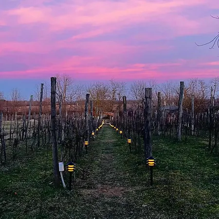 Semesterbostad Valyog Kucko Somogyszentpal