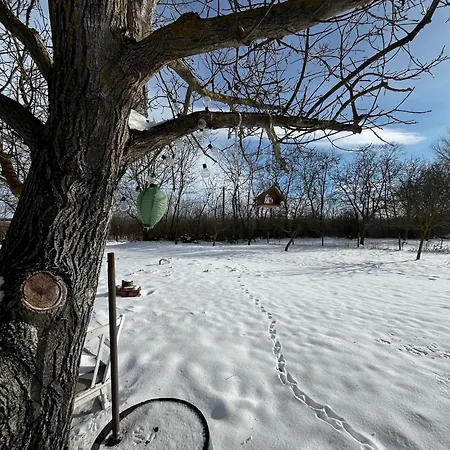 Valyog Kucko * Somogyszentpal