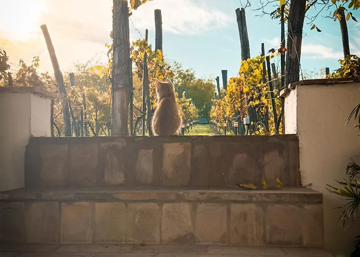 Valyog Kucko Ferienhaus Somogyszentpal