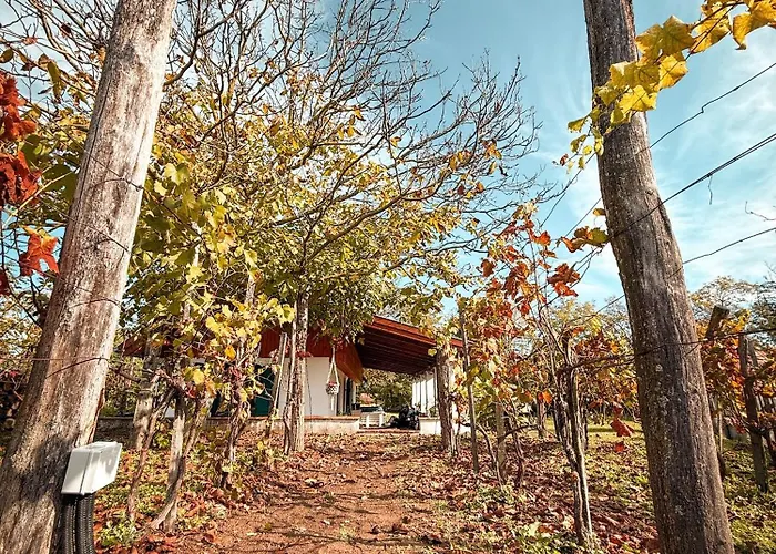 Valyog Kucko * Somogyszentpal