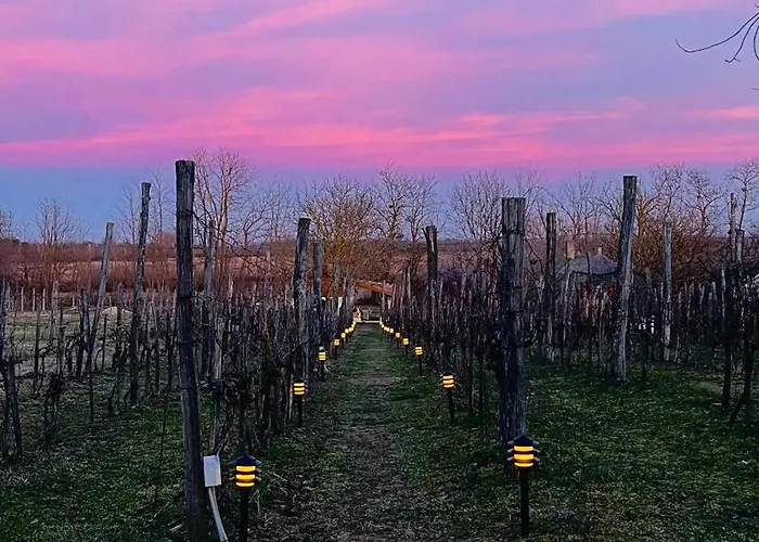 別荘 Valyog Kucko Somogyszentpal