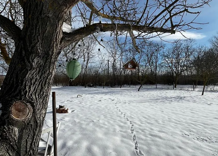 Valyog Kucko * Somogyszentpal